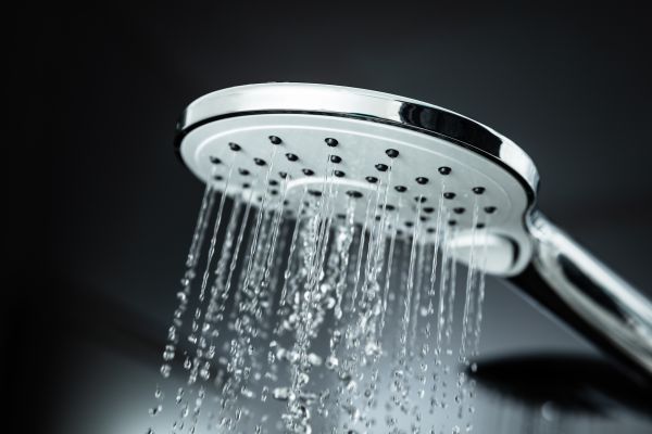 Cost of Shower Head Replacement in Rockville