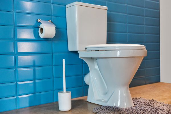 Cost of Toilet Tank Repair in Rockville