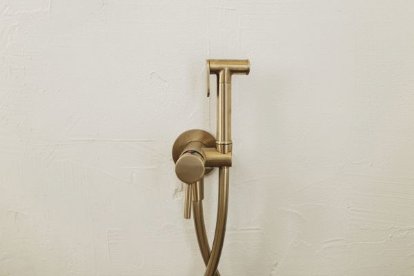 Cost of Bidet Plumbing in Rockville
